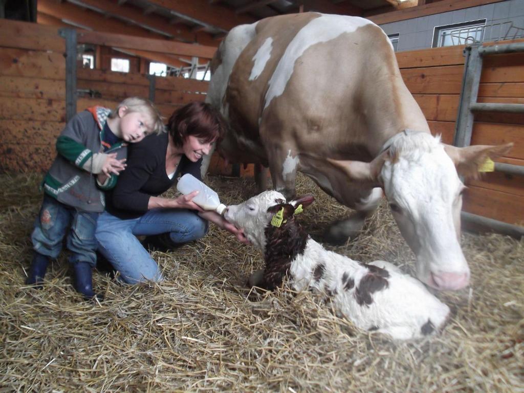 Kandler Agroturismo Rossleithen